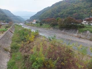 DSCF7536