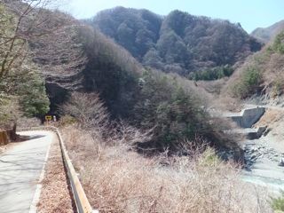 DSCF3537