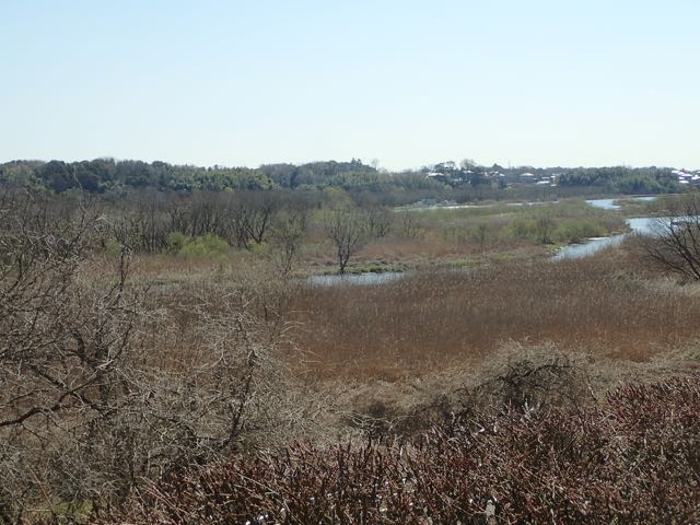 P3180002