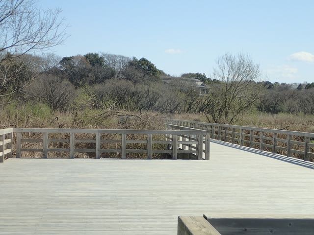 P3180008