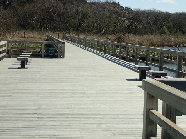 P3180010