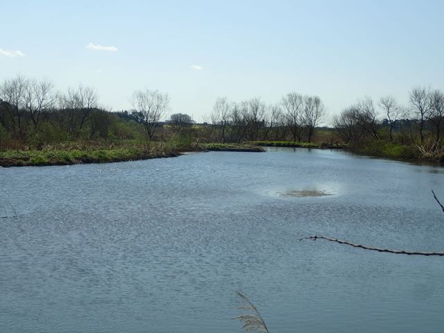 P3180011