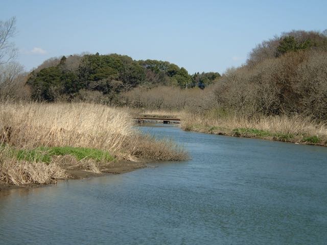 P3180015