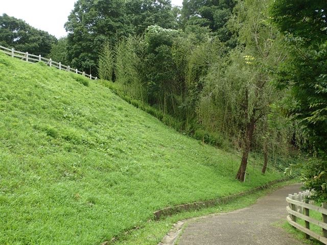 P7110022