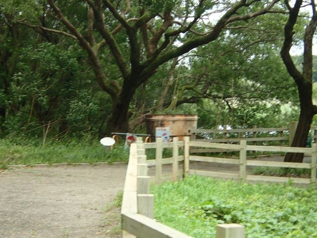 P7110023