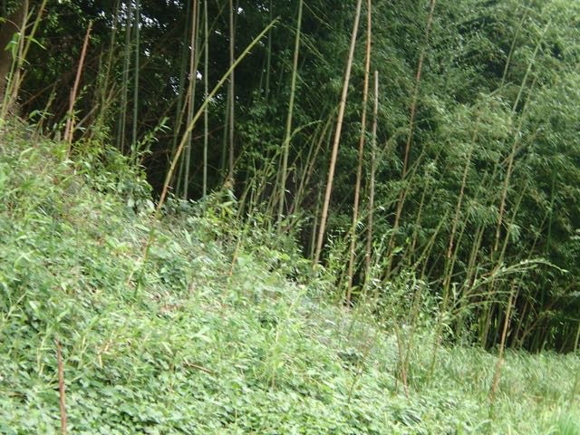 P7110024