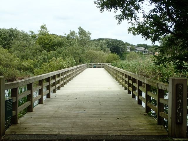 P7110025