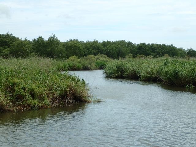 P7110026