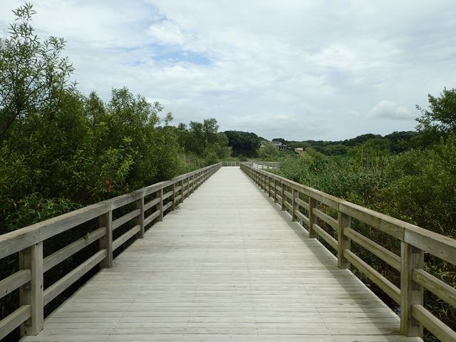 P7110029