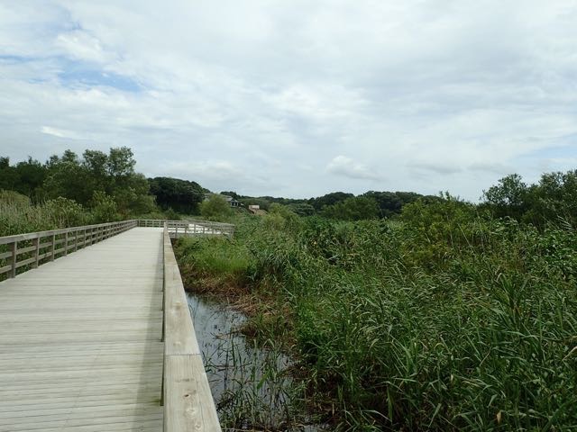 P7110030