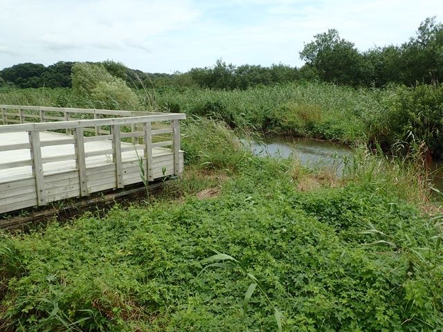 P7110032