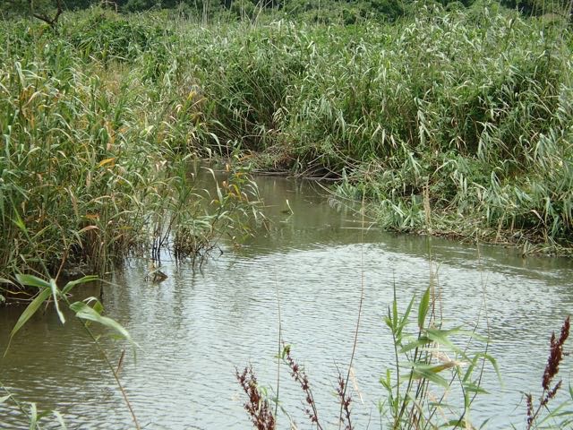 P7110035