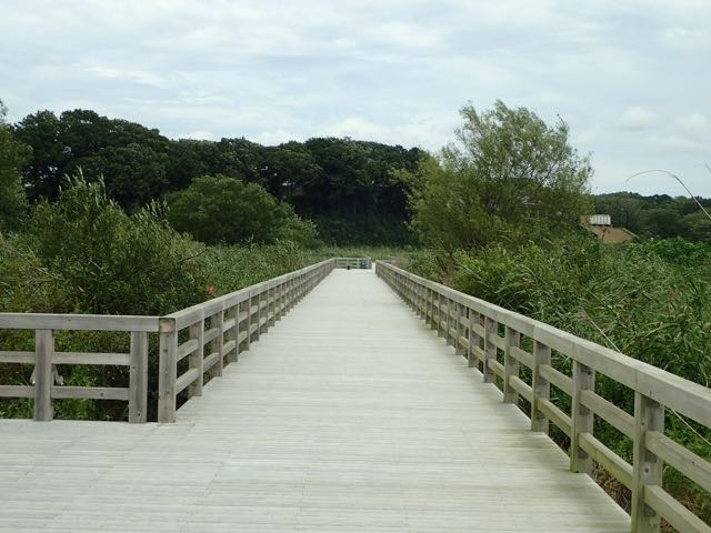 P7110037