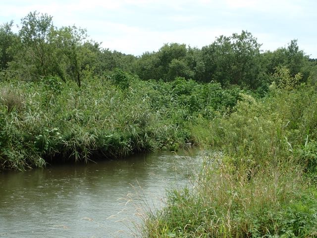 P7110038