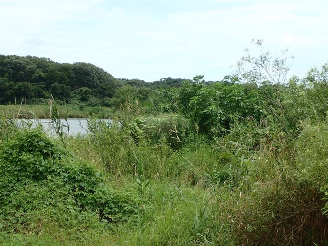 P7110039