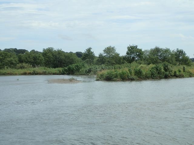 P7110044