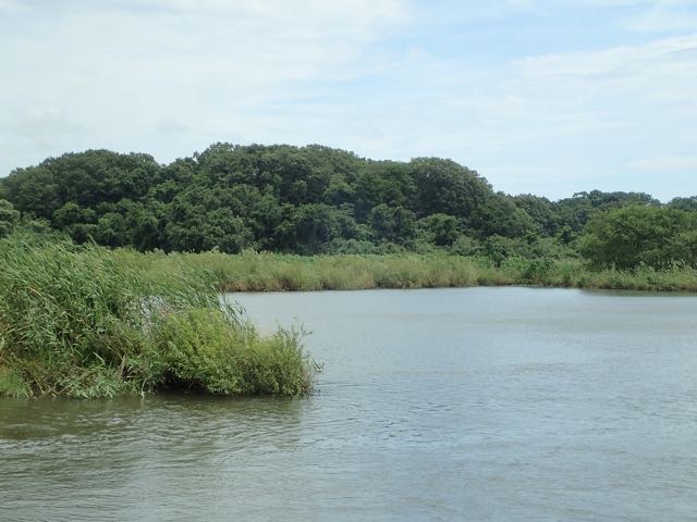 P7110046