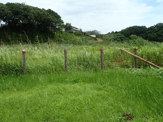 P7110053
