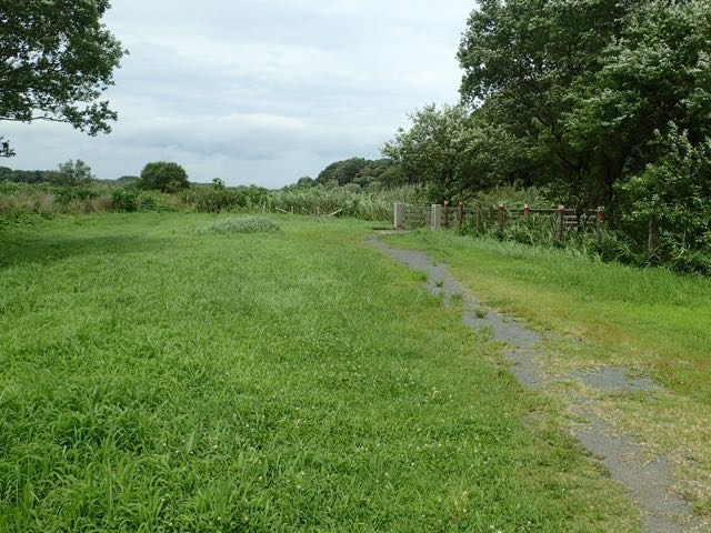P7110055