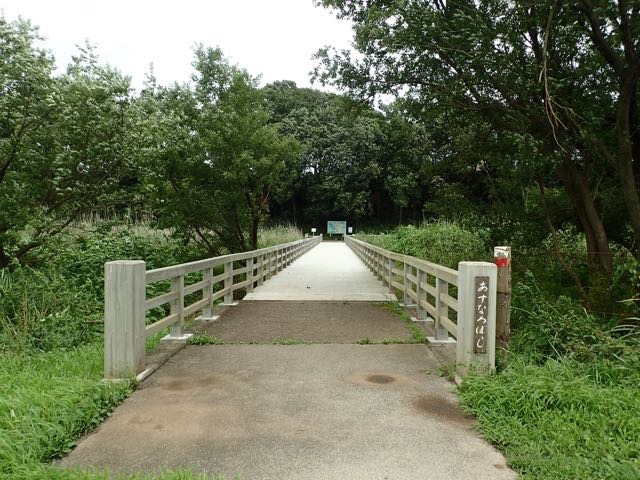 P7110056