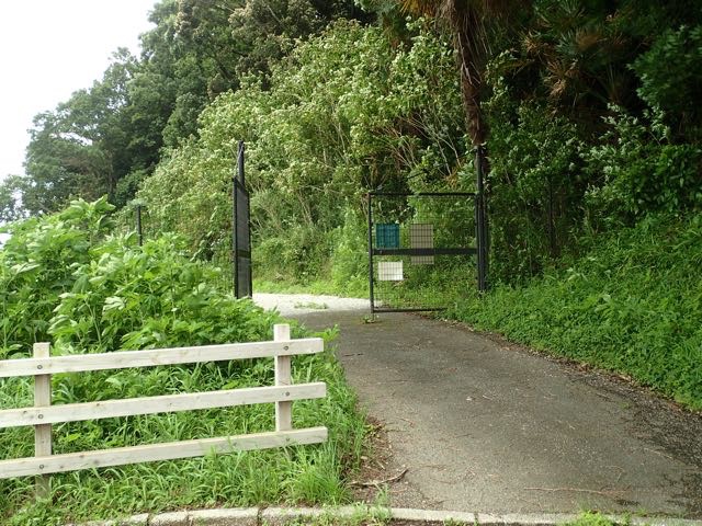 P7110063