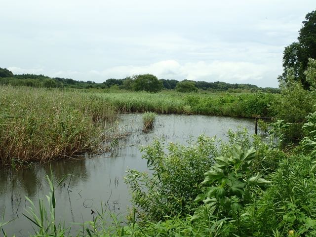 P7110065