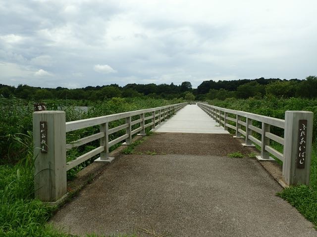 P7110068