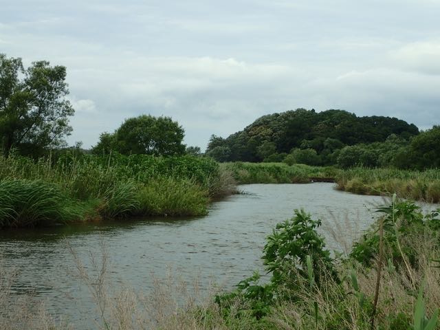 P7110070
