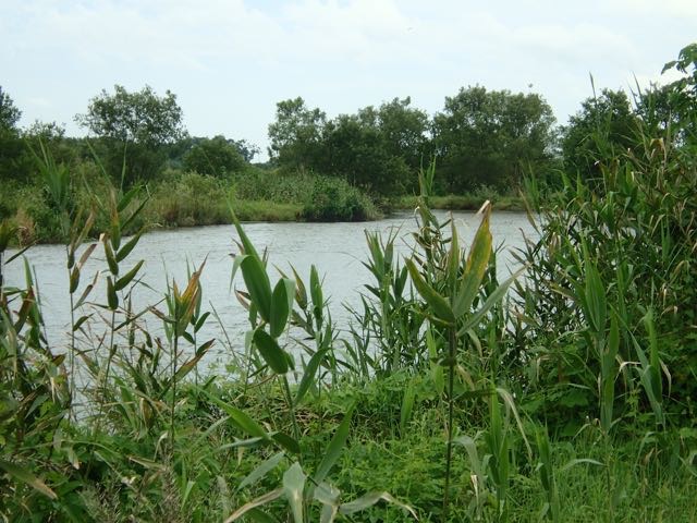 P7110076