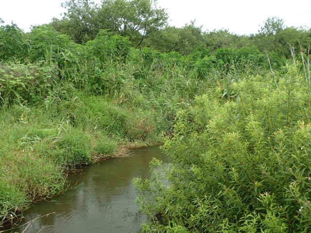 P7110077