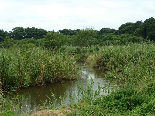 P7110087