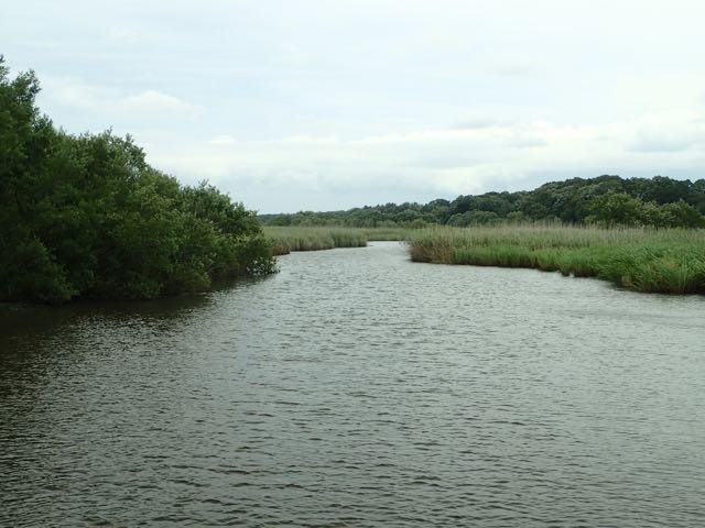 P7110094