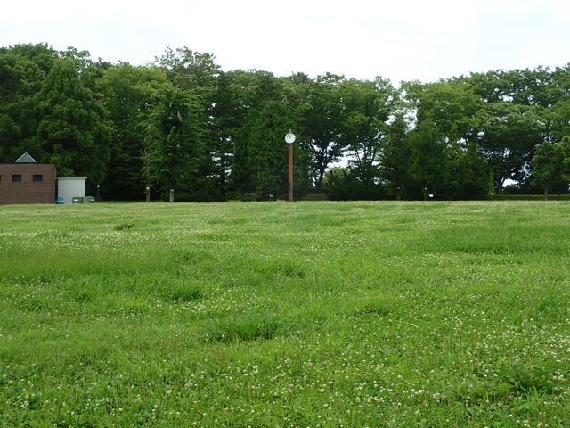 P7110130