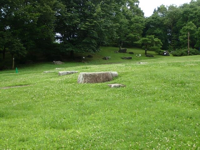 P7110131