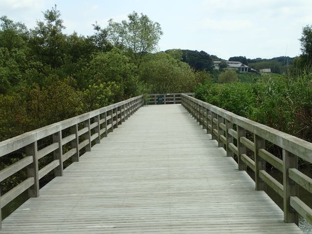 P8120012