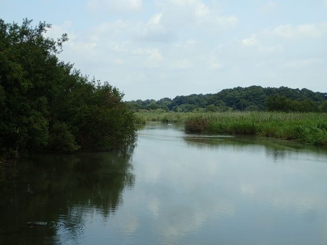 P8120013