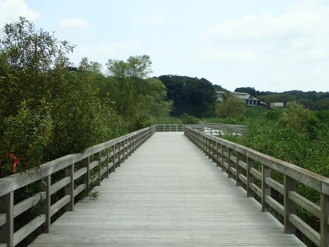 P8120015