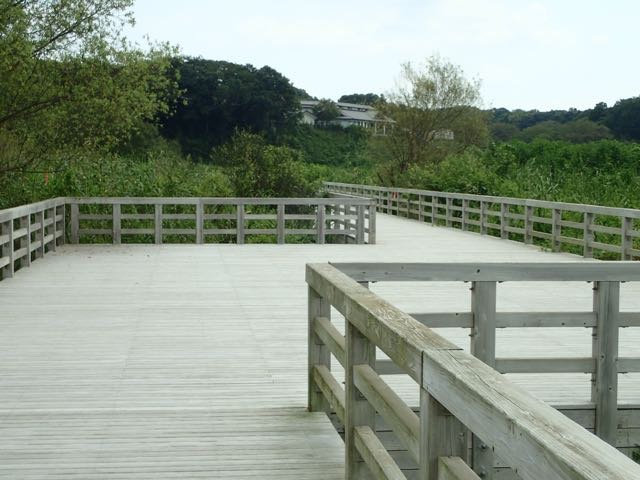 P8120017