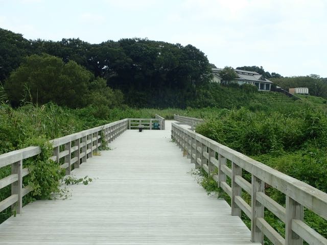P8120019