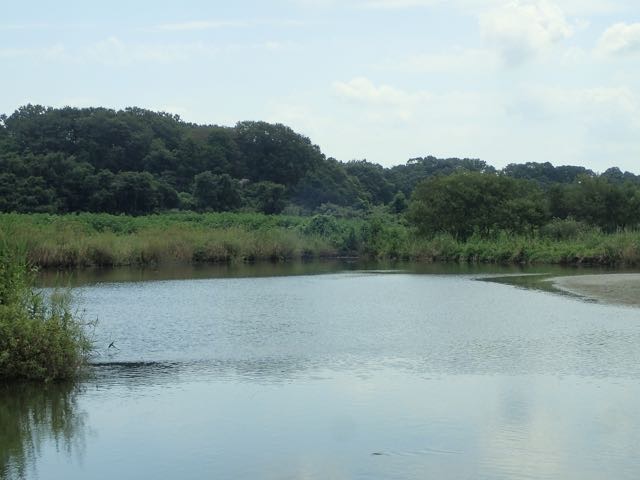 P8120022