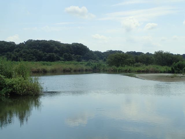 P8120023
