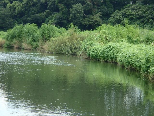 P8120026