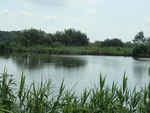 P8120027