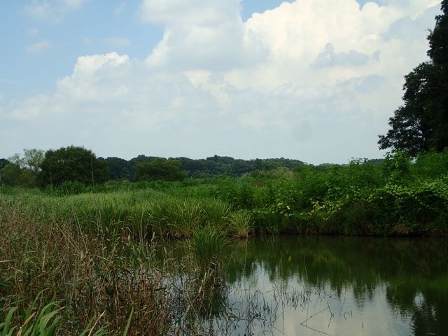 P8120031