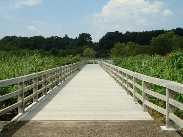 P8120035