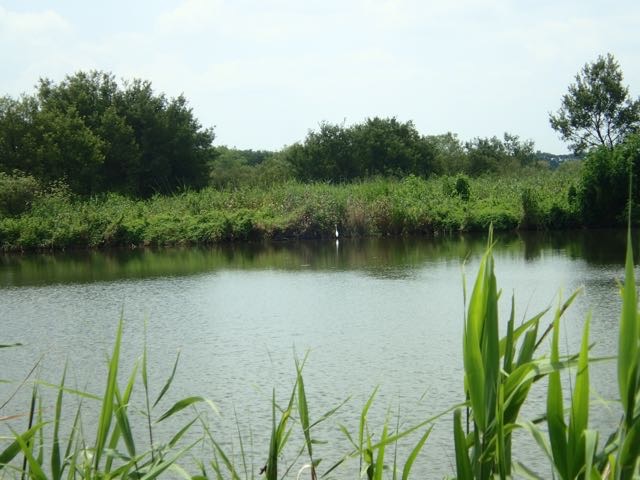 P8120036