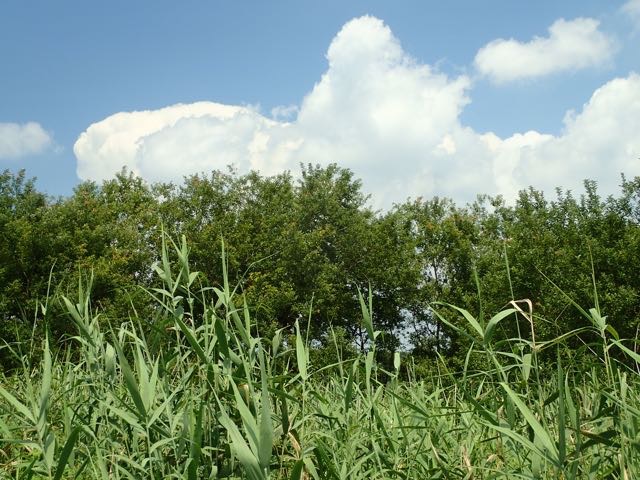 P8120040