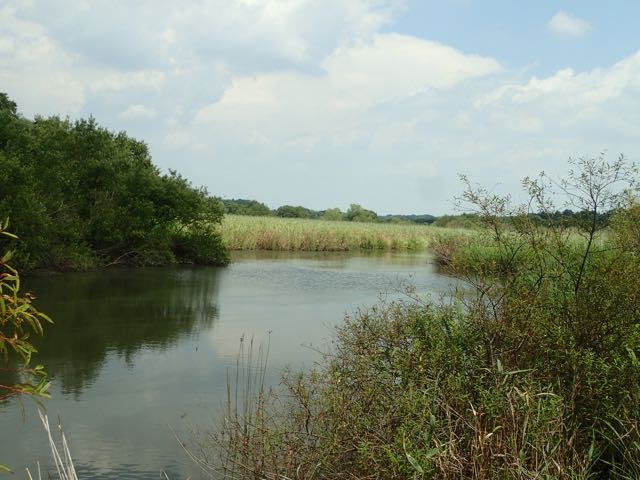 P8120042