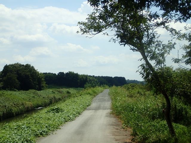 P8120045