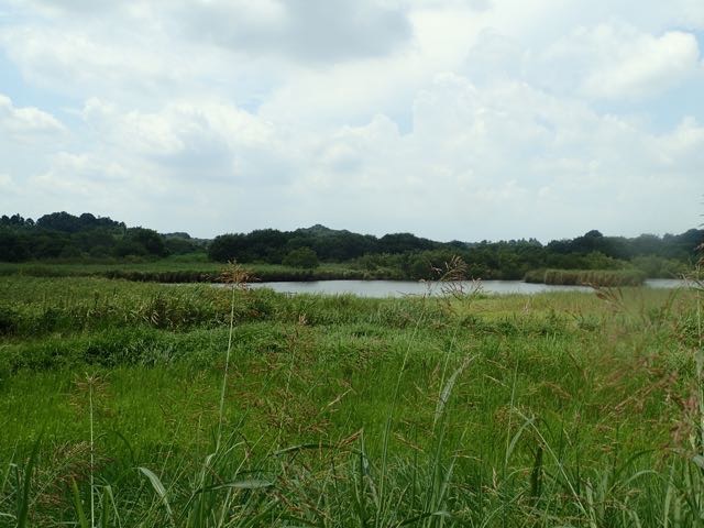 P8120048